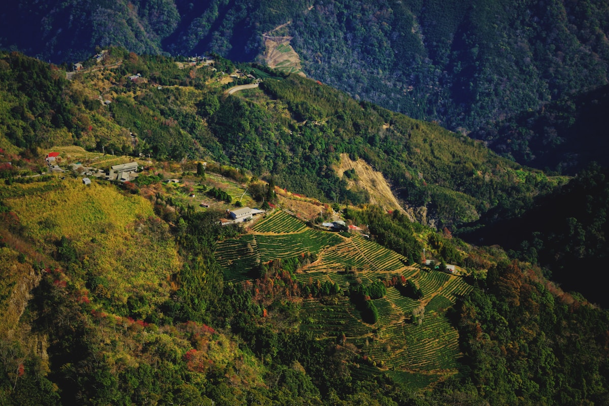 Wanderlust in the Mountains